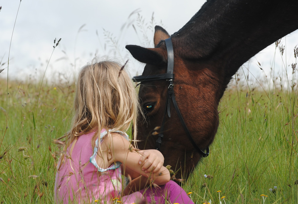 Pädagogik und Therapie mit Pferden